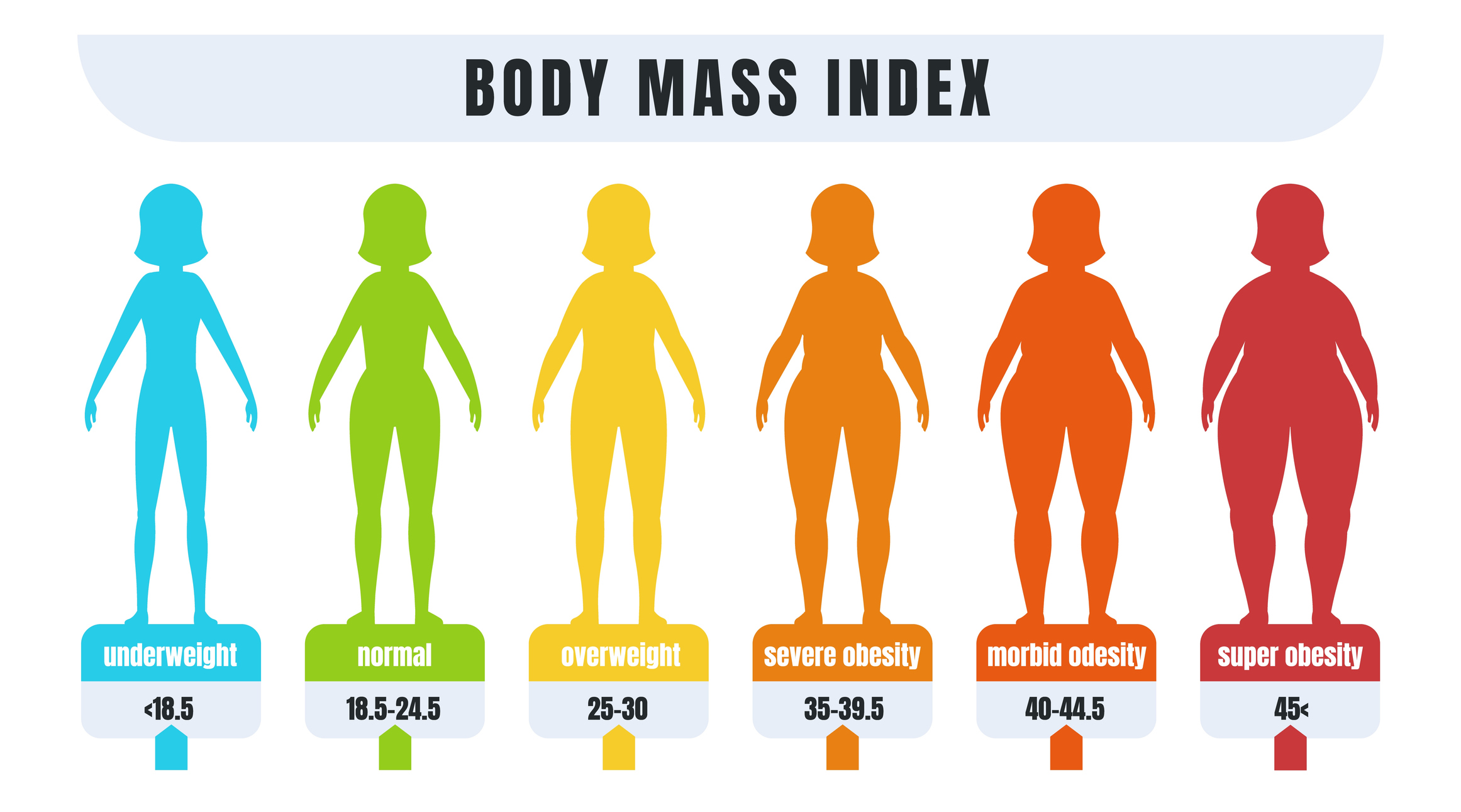Calcola il tuo BMI. BMI femminile 